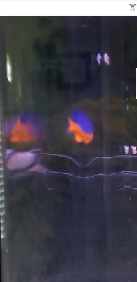 Screenshot_20190407-181120_Gallery.jpg