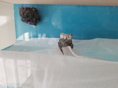 20190411_145146.jpg