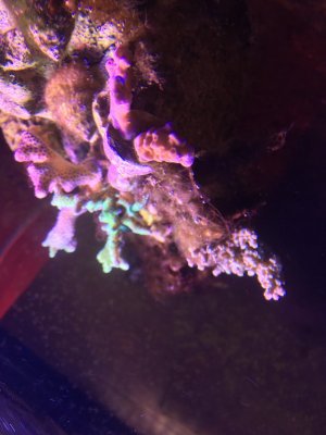 IMG_4399.JPG