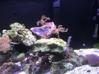 tank2.jpg
