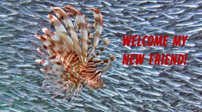 welcome 3.jpg welcome 3.jpg