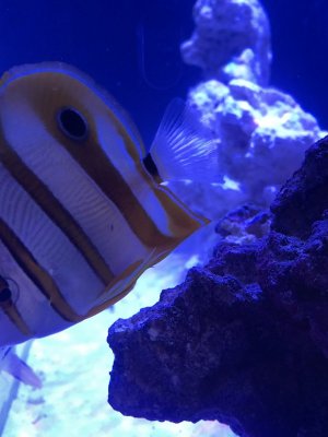 0EA26640-E3FD-448B-A3D0-00678AA7B4C1.jpeg