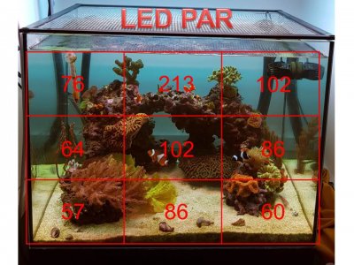 LED PAR.jpg