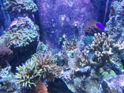 20181121_151437.jpg
