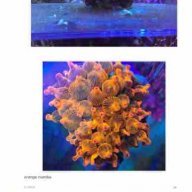 bar keepers friend aquarium
