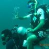 Ali-F