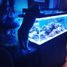 RICH'S REEF