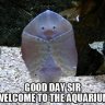 FishNoob323