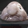 Ly78