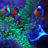 SteveEreef