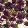 Gone Tidepoolin