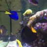 fishkeeper8774
