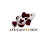 AfricanReefBoy