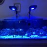 KMReef