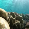 LnL