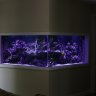 KSReef