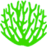 Prime Coral