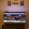 Jesses Nano Reef