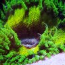 Rhydder_Reef