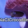 NaClCrocodile