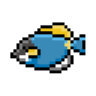 fishface1003