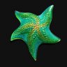 Greenstarfish03