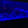 prfishgirl