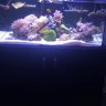 Kolby’s Reef