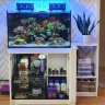 Nano Tank Reefer