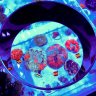DnA-Aquatics LLC