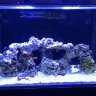 AthensReef