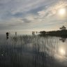 Fishyjoey