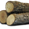 Woodenbark