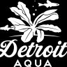 Detroit_aqua