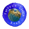 Stassis little reef