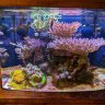 Saltywaterbox