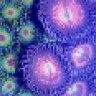 SeeingGreen