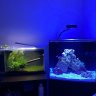 RedBeardAquaticcs