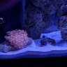 AquaPhilNJ