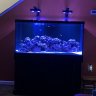 ReefGirl87