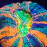 Highoffcoral