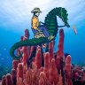 Seahorse Cowboy