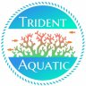tridentaquafrag