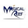Magical Reef