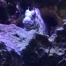 Strangewaterchange