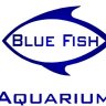 Bluefishaquariums