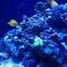 saltyfish808