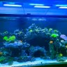 cherat123