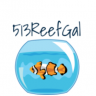 513ReefGal