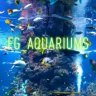 fg_aquariums